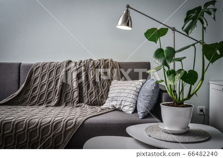Grey couch with cushions, knitted plaid  and  66482240