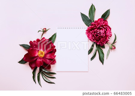 Beautiful peonies and notebook. White Floral Beautiful peonies and notebook. White Floral 66483005