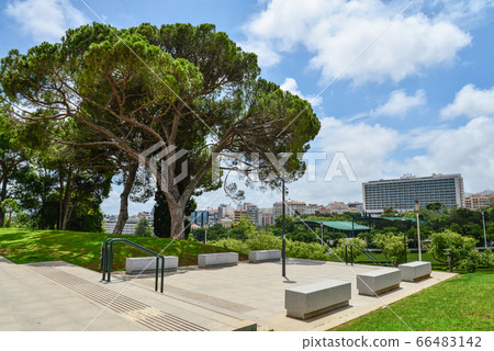 Eduardo VII park in Lisbon 66483142