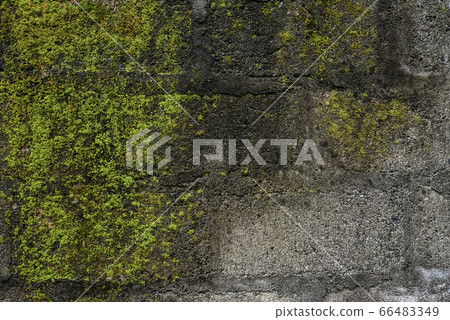Old concrete moss-covered wall. 66483349
