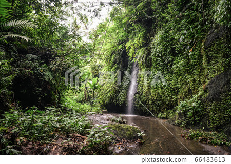 Tukad Cepung waterfall Tukad Cepung waterfall 66483613