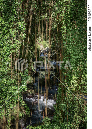 River near Hindu Temple Pura Gunung Kawi 66484225