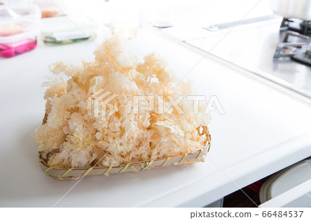 Prepare white jellyfish in the kitchen Prepare white jellyfish in the kitchen 66484537