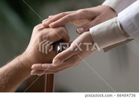 Close up female caregiver touching elderly disabled patient hand Close up female caregiver touching elderly disabled patient hand 66484736