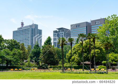 初夏的日比谷公園 初夏的日比谷公園 66484820