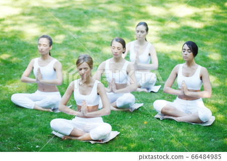 Yoga group training class at park 66484985