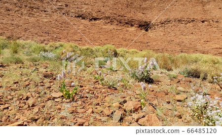 Outback travel Outback travel 66485120