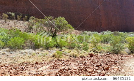 Outback Outback 66485121