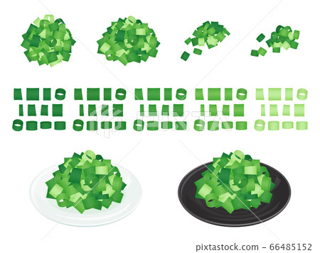 插圖的蔥切成小塊_調味品 66485152