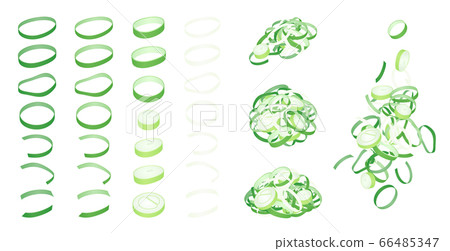 Illustration material set of long onion cut into slices _ condiment 66485347