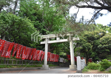 Hiratsuka Hachimangu Shrine, Kanagawa Prefecture 66485710