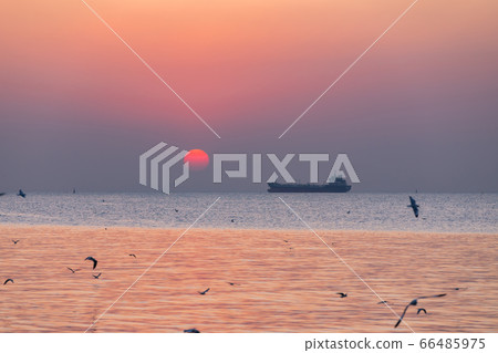 Landscape view in sunset with seagulls Landscape view in sunset with seagulls 66485975