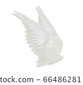 wings isolated on white background 66486281