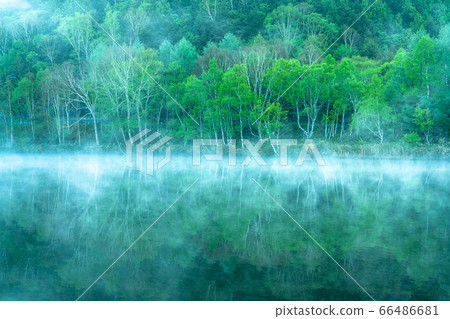 《Nagano Prefecture》 Fresh green Kido pond・Shiga Kogen in early summer 66486681