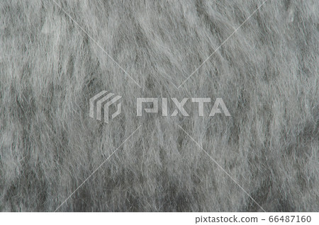 Soft furry grey texture background 66487160