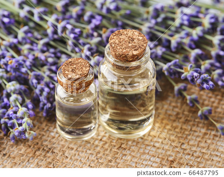 Two glass bottles of lavender essential oil and fresh fragrant lavender on a jute Two glass bottles of lavender essential oil and fresh fragrant lavender on a jute 66487795