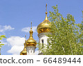 Golden domes of the Orthodox church against the blue sky with a green tree in the foreground 66489444