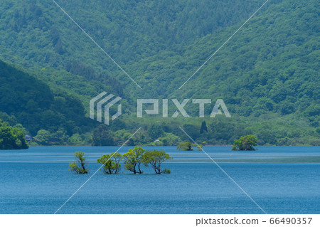 Lake Hinohara and mountains in early summer, Kitashiobara Village, Fukushima Prefecture 66490357