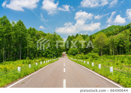 Scenery of Bandai Azuma Lake Line in early summer Blue sky and straight road Inawashiro Town, Fukushima Prefecture 66490644