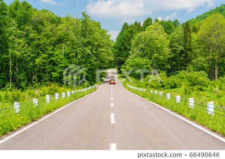 Scenery of Bandai Azuma Lake Line in early summer Blue sky and straight road Inawashiro Town, Fukushima Prefecture Scenery of Bandai Azuma Lake Line in early summer Blue sky and straight road Inawashiro Town, Fukushima Prefecture 66490646