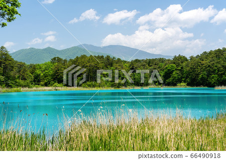 福島縣北尾原村本初沼和西阿祖瑪山初夏的五沼沼自然風景區風景 福島縣北尾原村本初沼和西阿祖瑪山初夏的五沼沼自然風景區風景 66490918