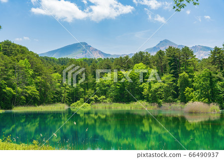 福島縣北尾原村蘆沼沼和Bandaisan Goshikinuma自然探索路的新鮮綠色風景 66490937