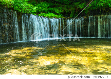 《Nagano Prefecture》Shiraito Falls/Karuizawa Clear Stream 《Nagano Prefecture》Shiraito Falls/Karuizawa Clear Stream 66492294