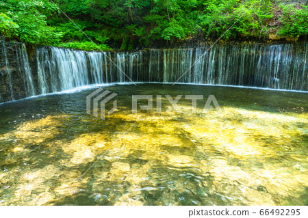 《Nagano Prefecture》Shiraito Falls/Karuizawa Clear Stream 66492295