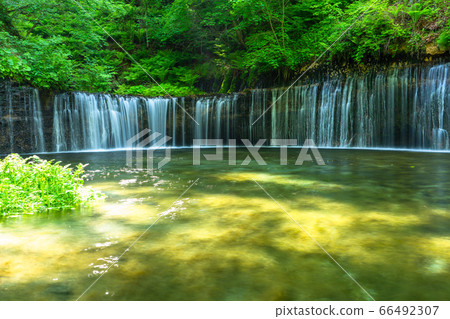 《Nagano Prefecture》Shiraito Falls/Karuizawa Clear Stream 66492307