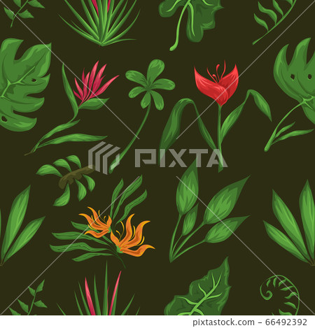 Jungle leaves and flowers pattern Jungle leaves and flowers pattern 66492392
