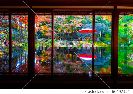 Autumn leaves of the former Takebayashi 66492995