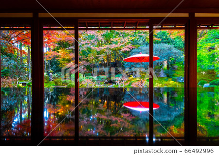 Autumn leaves of the former Takebayashi Autumn leaves of the former Takebayashi 66492996