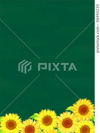 Background material_blackboard and sunflower 66493219