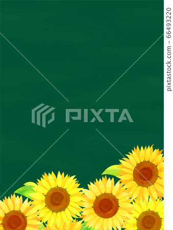 Background material_blackboard and sunflower 66493220
