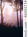 Natural forest mountains horizon hills silhouettes of trees. Evening Sunrise and sunset. Landscape wallpaper. Illustration vector style. Colorful view background. 66493739