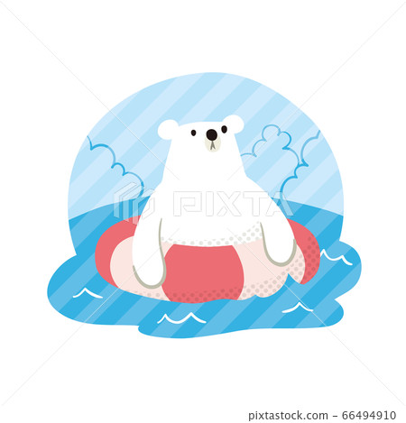 北極熊夏季圓點游泳01 66494910