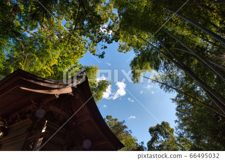 抬頭看著神社 66495032