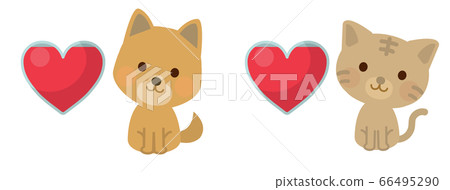 狗和貓獻血和收集血液的插圖 狗和貓獻血和收集血液的插圖 66495290