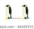 表示與企鵝的社交距離的插圖 66495555