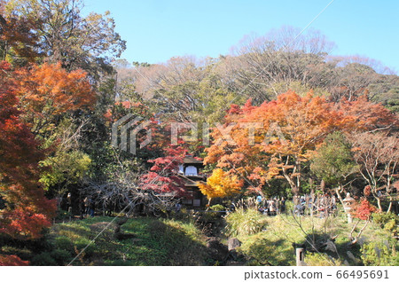 Hakushukaku in the autumn colors Hakushukaku in the autumn colors 66495691