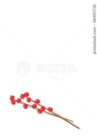 New Year's card material: Vector illustration of Nanten New Year's card material: Vector illustration of Nanten 66495716
