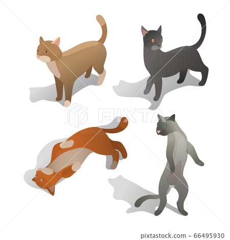 isometric cat set - Stock Illustration [66495930] - PIXTA