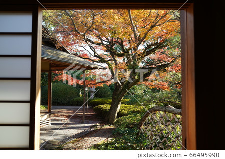 松風園秋葉在福岡市平尾市 松風園秋葉在福岡市平尾市 66495990