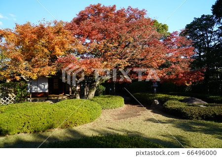 松風園秋葉在福岡市平尾市 松風園秋葉在福岡市平尾市 66496000