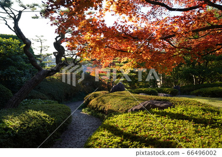 Shofuen Autumn leaves in Hirao, Fukuoka Shofuen Autumn leaves in Hirao, Fukuoka 66496002