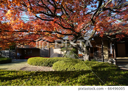 Shofuen Autumn leaves in Hirao, Fukuoka Shofuen Autumn leaves in Hirao, Fukuoka 66496005