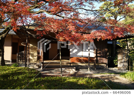 松風園秋葉在福岡市平尾市 松風園秋葉在福岡市平尾市 66496006