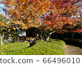 Shofuen Autumn leaves in Hirao, Fukuoka Shofuen Autumn leaves in Hirao, Fukuoka 66496010