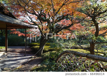 松風園秋葉在福岡市平尾市 松風園秋葉在福岡市平尾市 66496014
