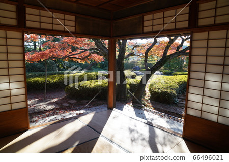 Shofuen Autumn leaves in Hirao, Fukuoka Shofuen Autumn leaves in Hirao, Fukuoka 66496021